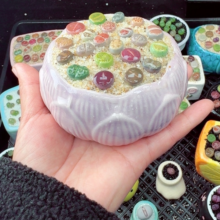 548零下地区记得拍保温箱满18包邮