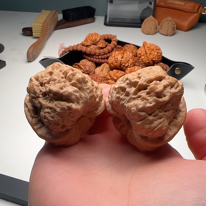 43-46-39全品蛙蟾型好开背B15号