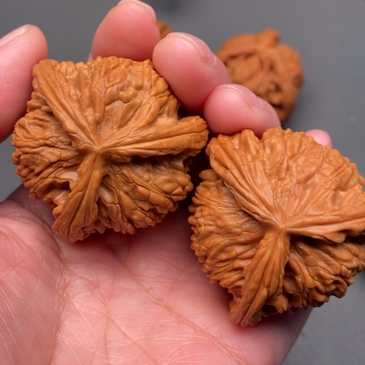 于***敏木质类核桃核桃核桃