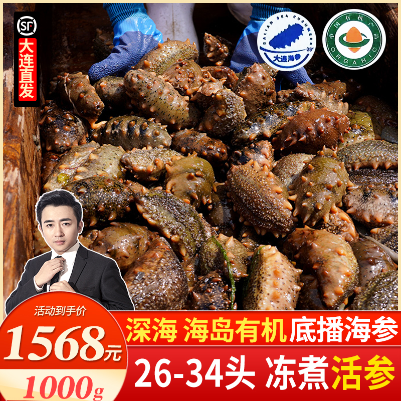 【底播有机 活海参】大连海参 底播海参 26-34头 八分熟冻煮1000g