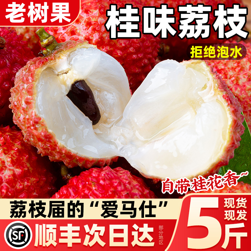【5斤装】次日达茂名高州桂味荔枝新鲜现摘纯甜顺丰快递荔枝同城送
