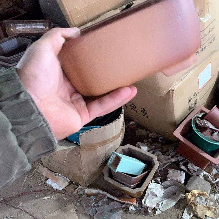 紫砂没有那么重要的人在我们