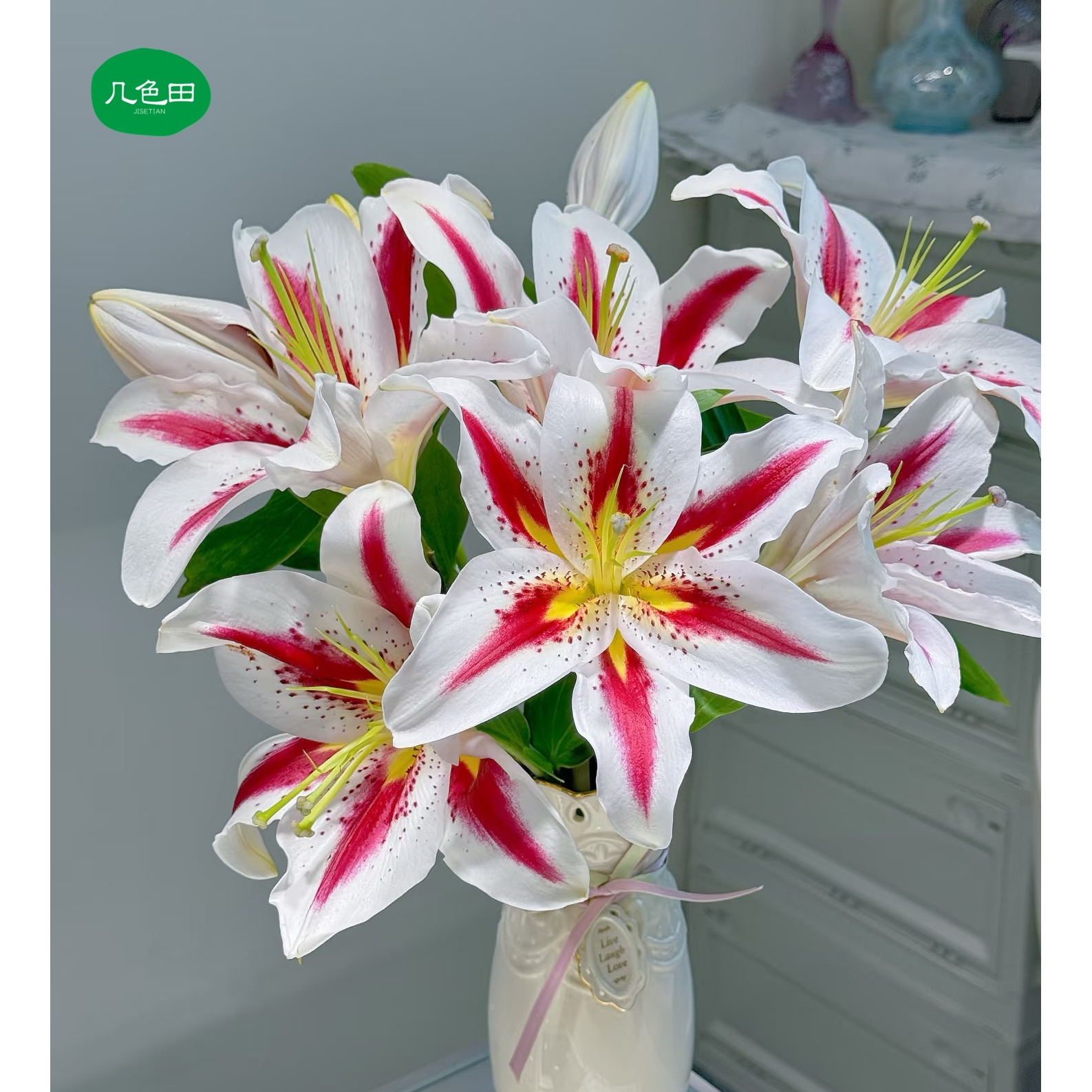 夏日耐养多头笑脸----单瓣百合云南直发鲜花