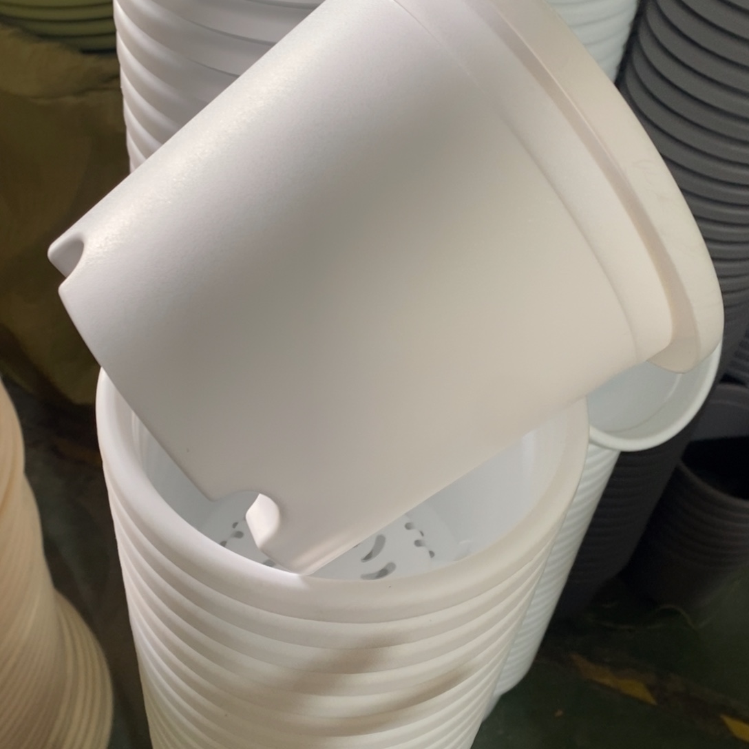 树脂四季2#无拖纯白12个