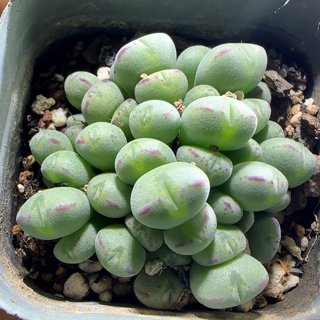 哈哈哈哈哈哈57201