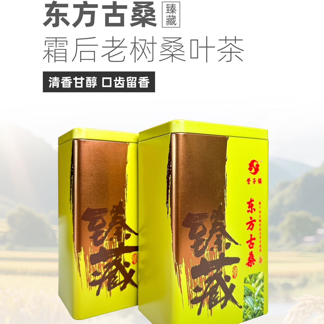 桑叶茶精选代用茶古桑树茶桑叶子茶200g铁盒装桑树叶霜后桑叶干