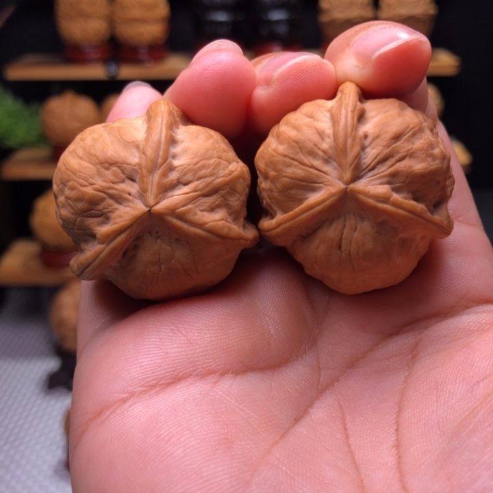 【闪购商品】甲壳虫三棱10