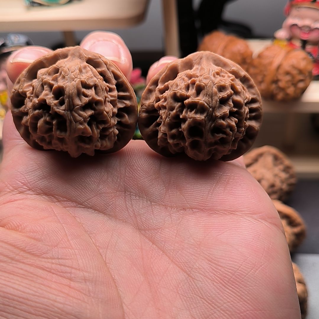 不打药老款宫灯40尺