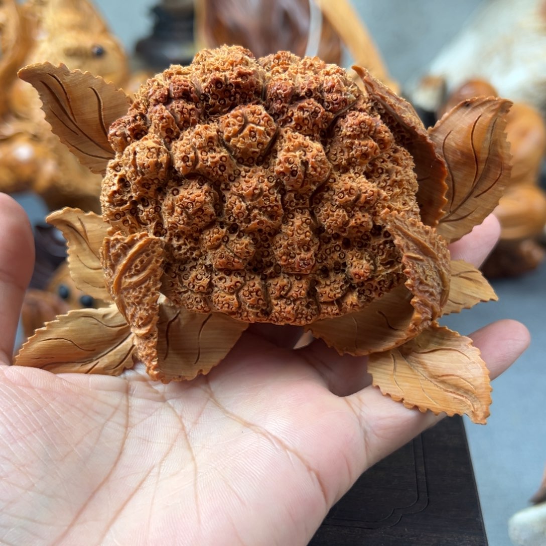 柏木（崖柏）崖柏太行山脉