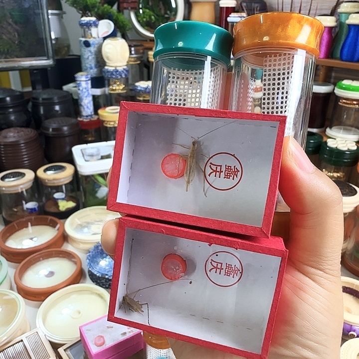 蓝色➕黄色➕2柬竹啊啊啊啊