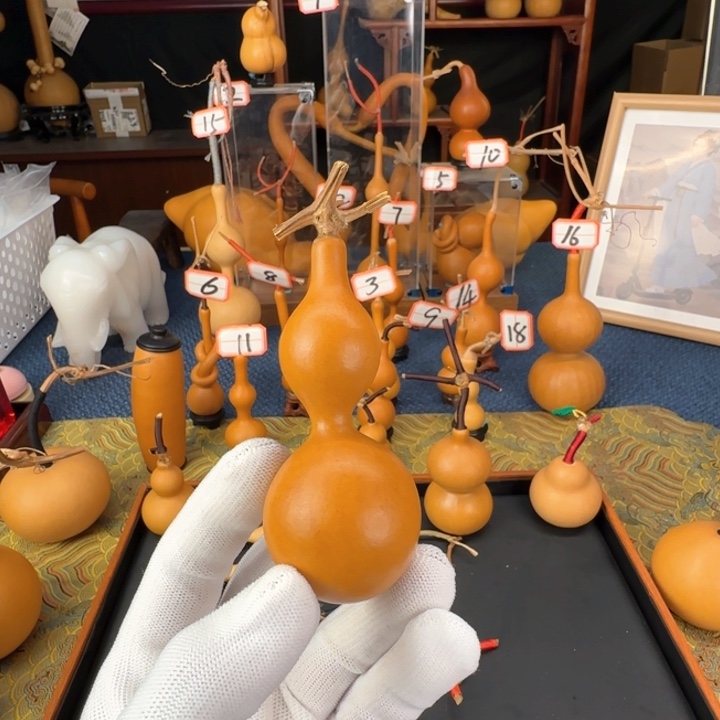 临****新葫芦葫芦葫芦葫芦葫芦葫芦