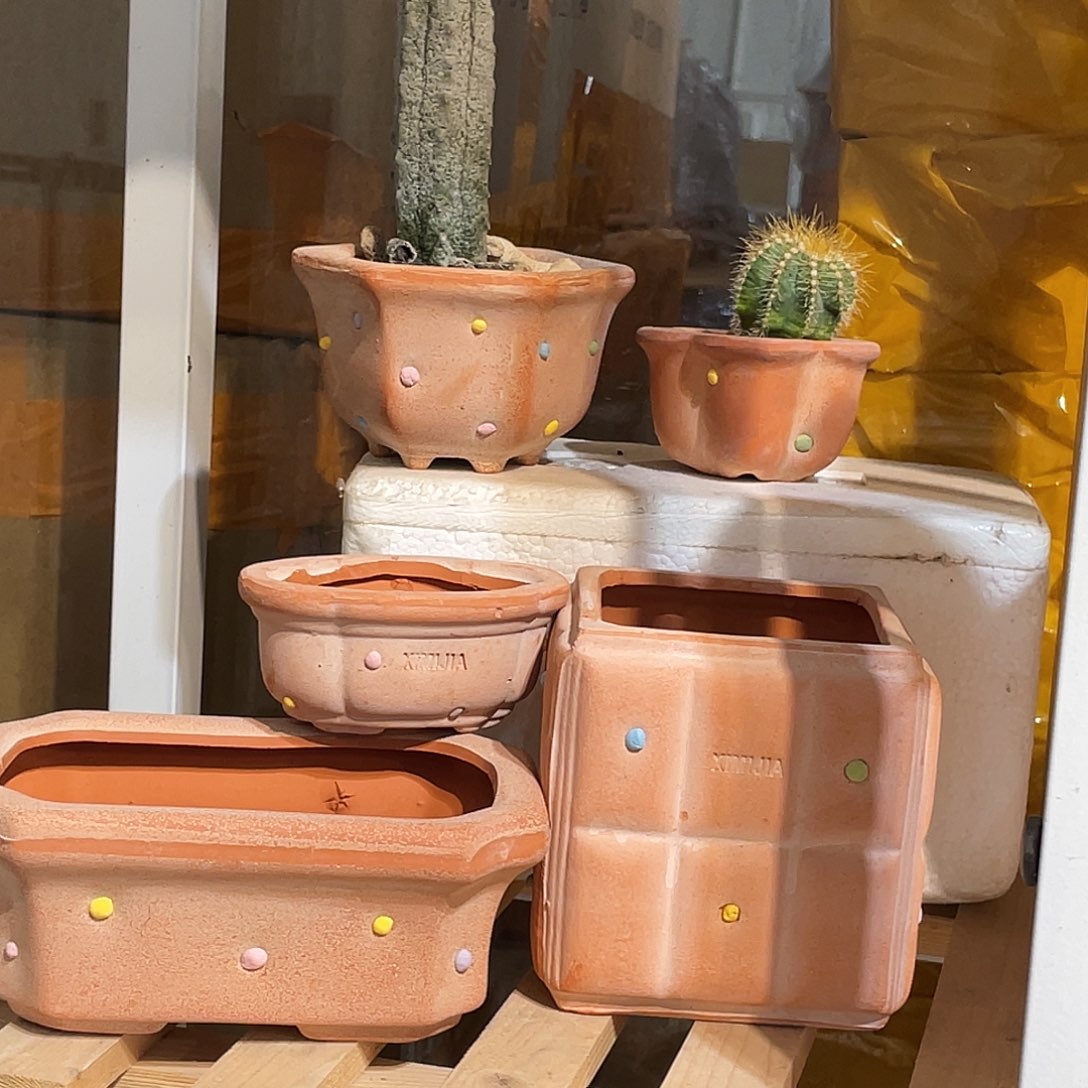 红陶5个花盆陶粒