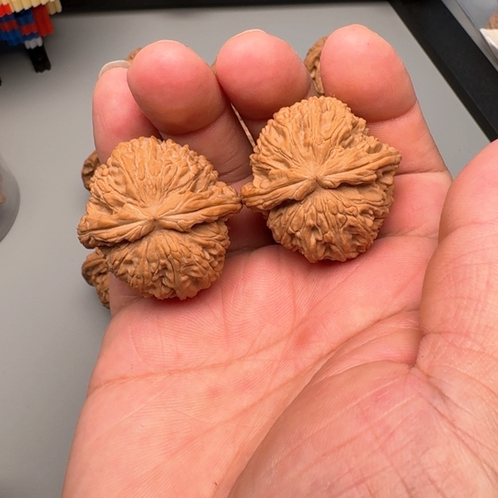 文玩核桃把件山地白狮子37