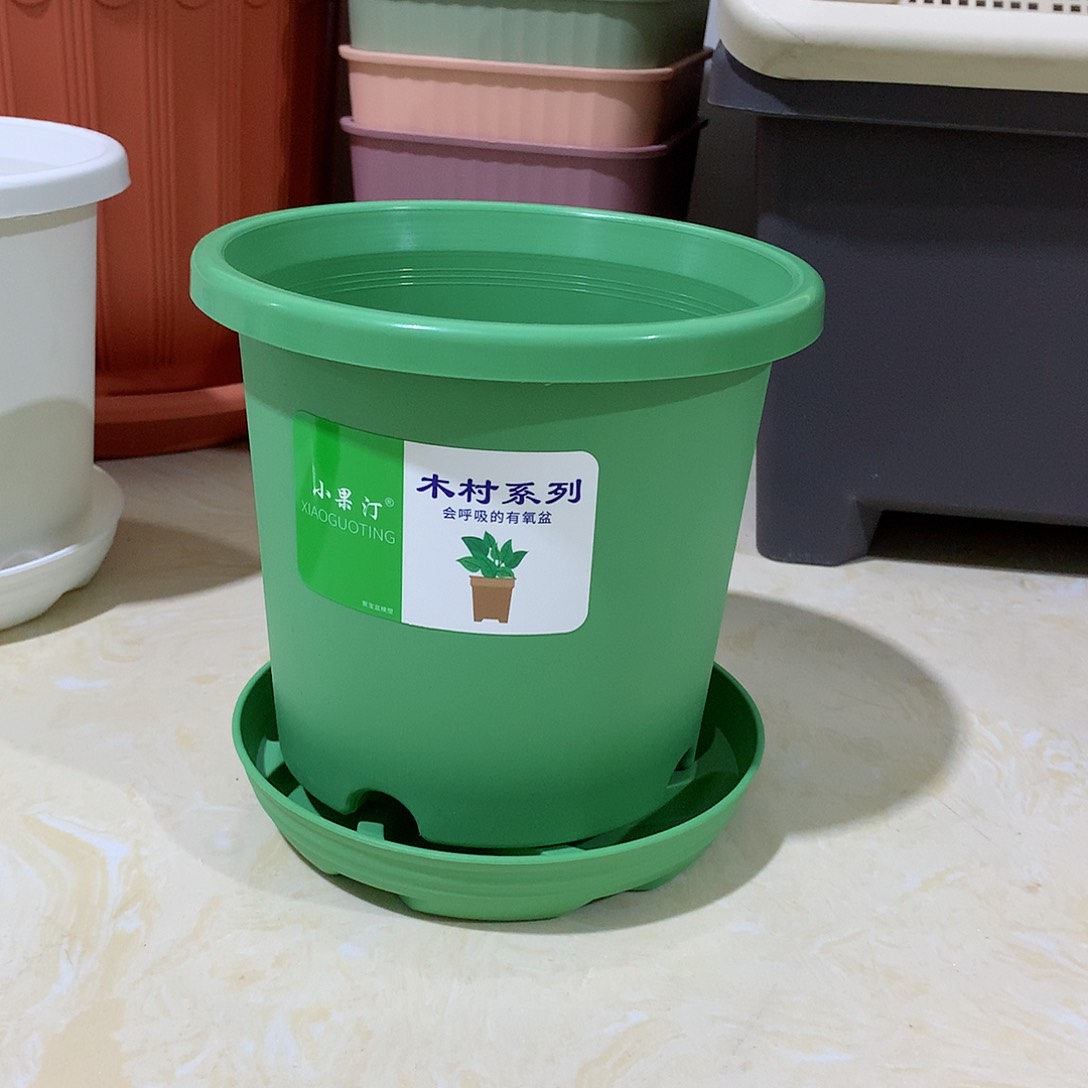 树脂四季口15绿10个带托