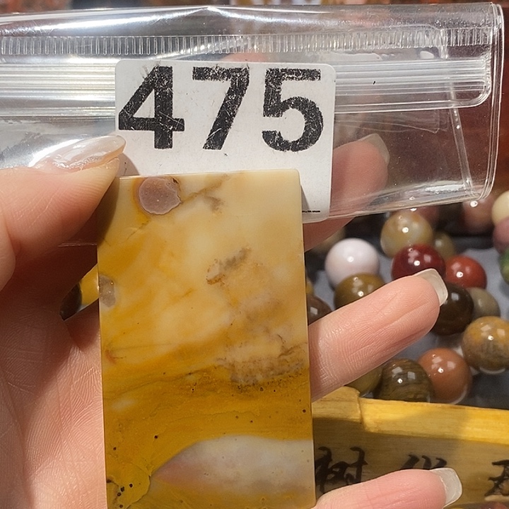 硅化玉未镶嵌天然北票树化玉吊坠