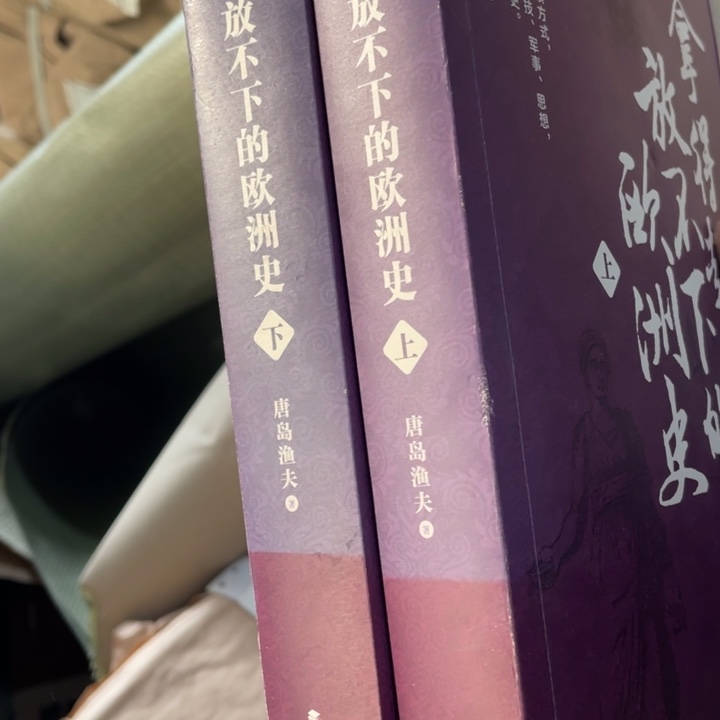 拿得起放不下的欧洲史全两册微瑕