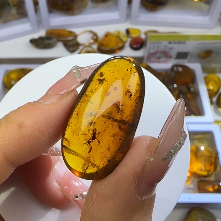 琥珀未镶嵌裸石虫珀标本