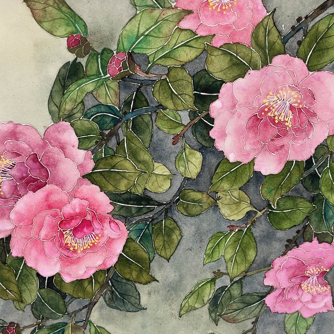 林***旧国画山茶花蒋露国画