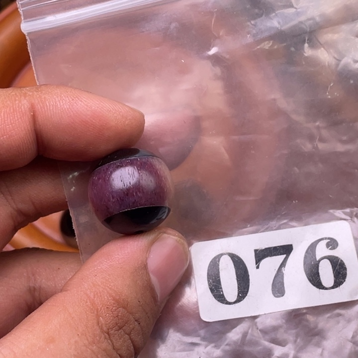 驼骨其他人工养殖