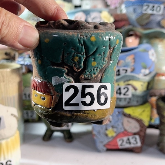 红陶多肉植物花盆