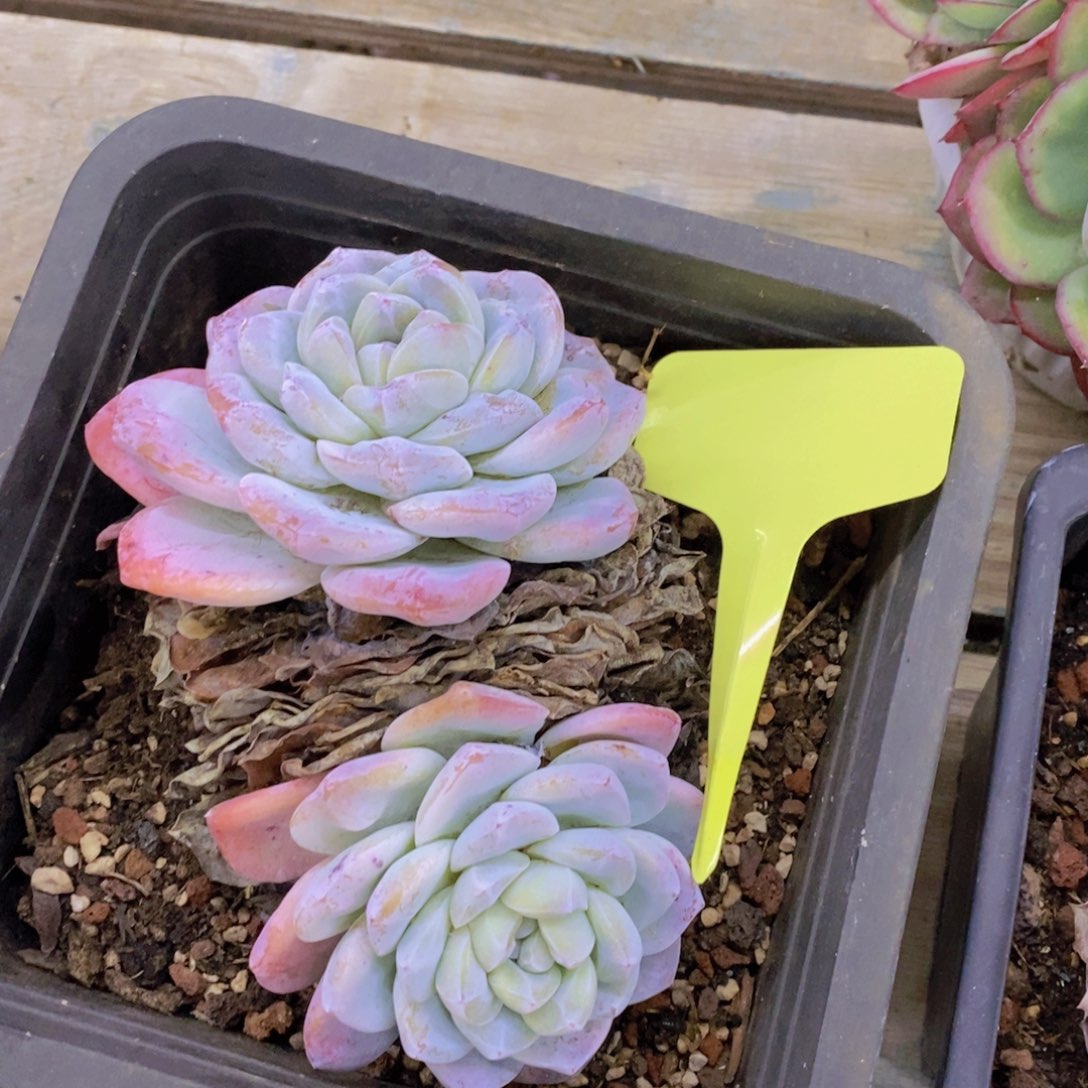 清货专场，满5宋1了