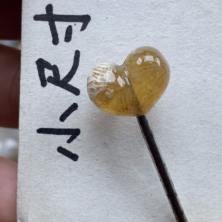 硅化珊瑚（珊瑚玉）未镶嵌颈饰