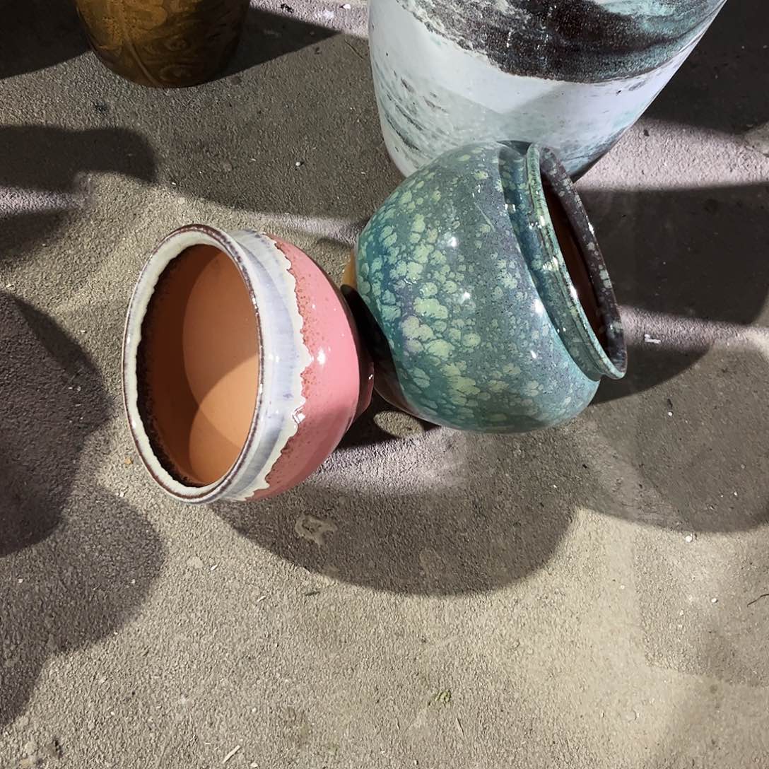 紫砂花盆里的小猫咪