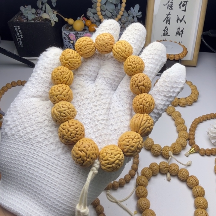 盘锦爆肉 野生籽。并非所谓盘锦嫁接的