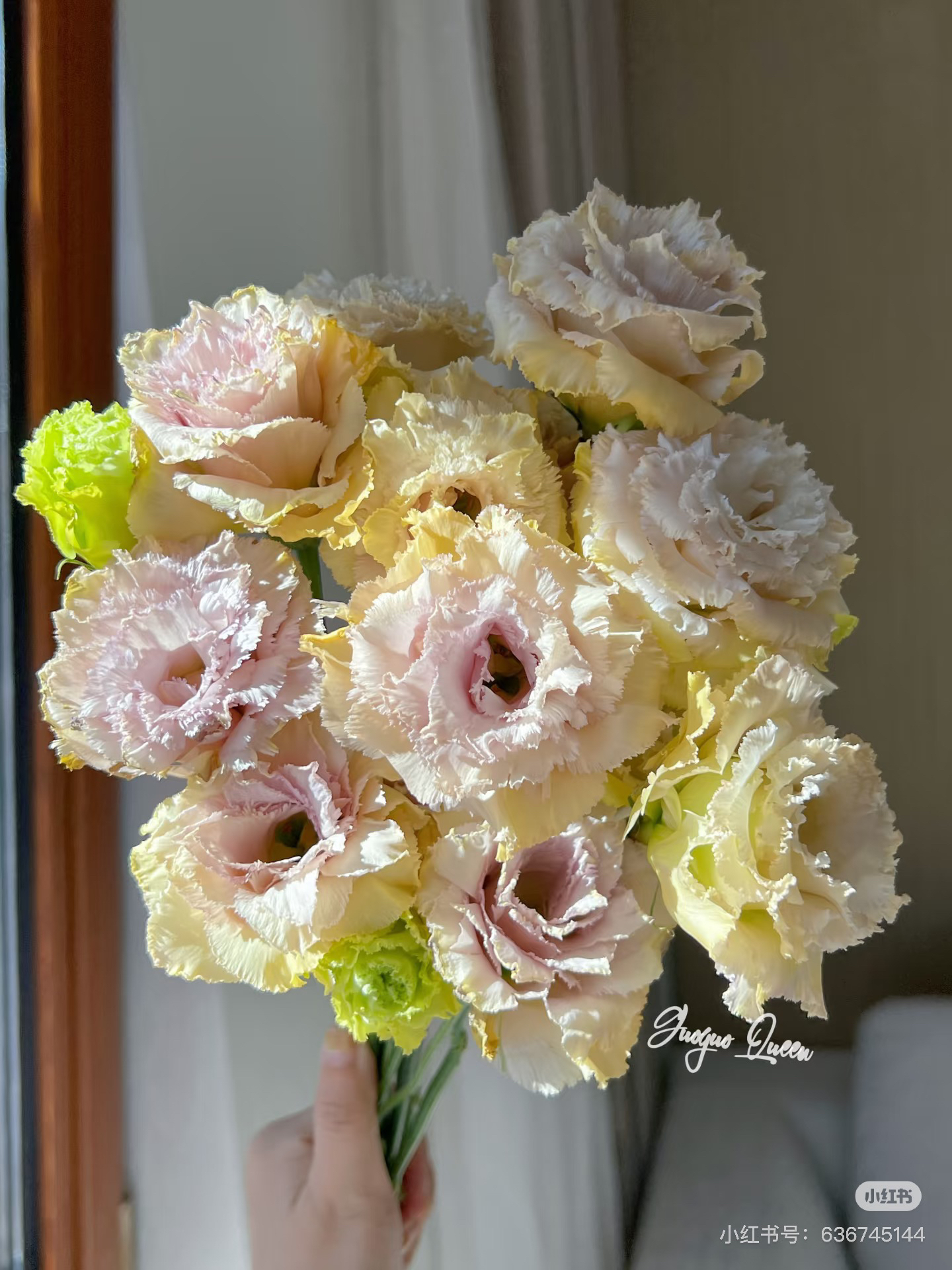 【花甜悦夏优选】芒果紫洋桔梗（百分之十不售后2个冷链3个空运）