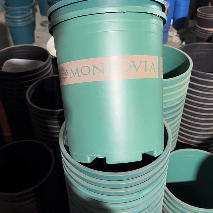 高5加仑5个无托军绿瑕疵门口