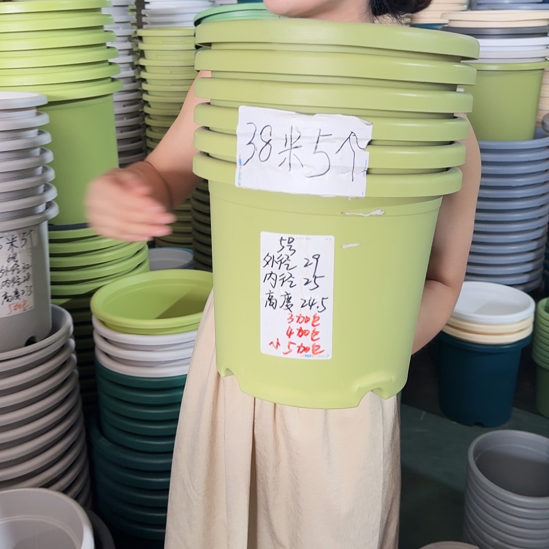 微瑕5#口径29无拖纯白5个