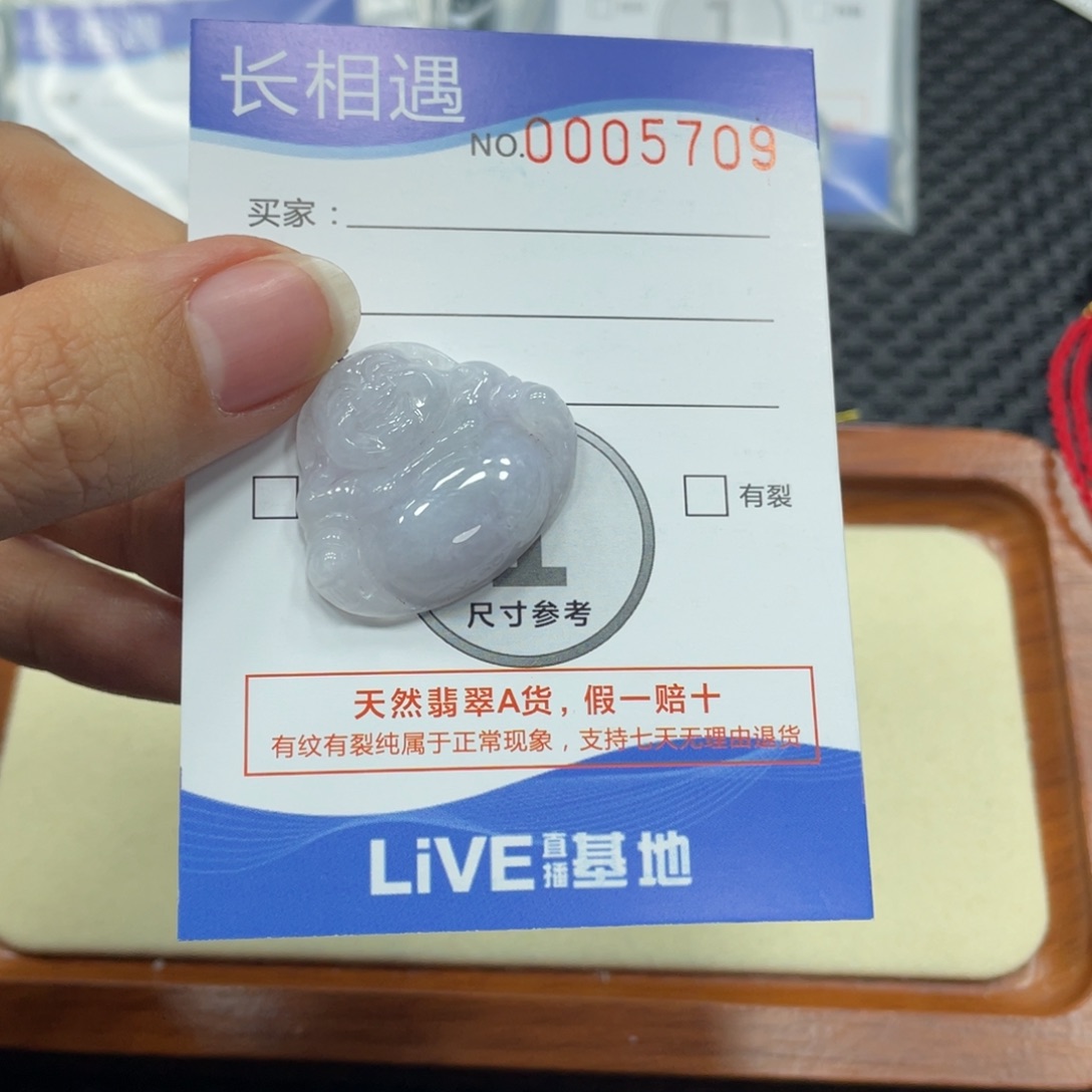 翡翠颈饰未镶嵌翡翠吊坠x 5709