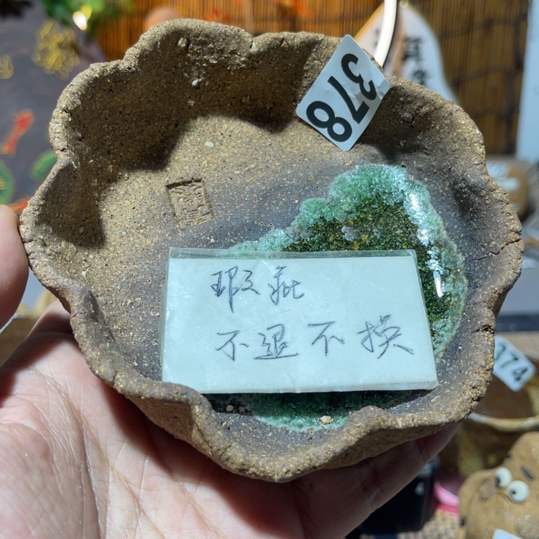 木村信弘柴烧保平