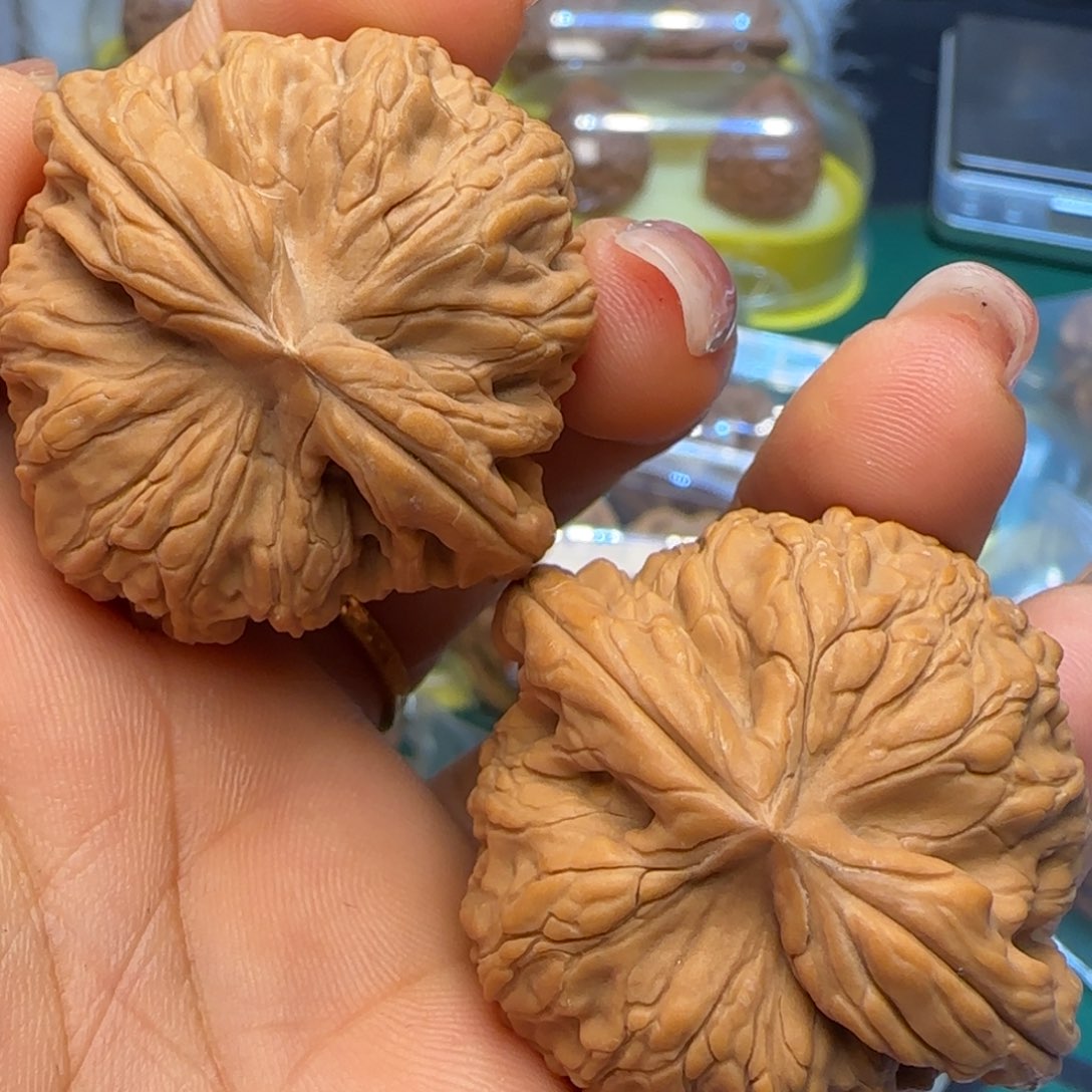 文玩核桃吊坠41全品小火龙