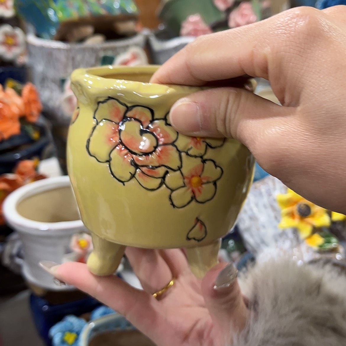 【闪购商品】红陶福利