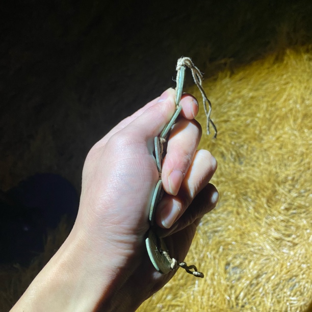 1个家居饰品摆件 30 精美摆件