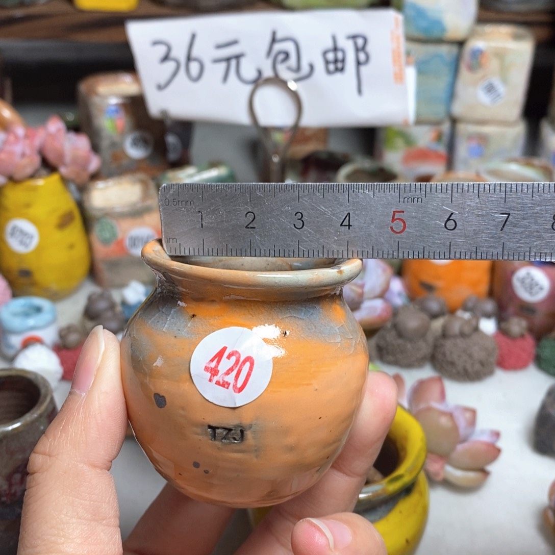 拍5送一个小礼物