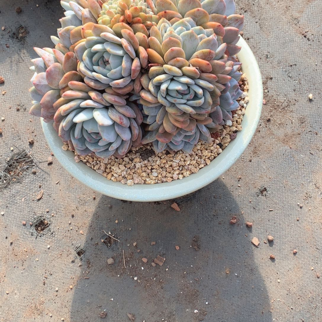 多回家看看更丰富的是