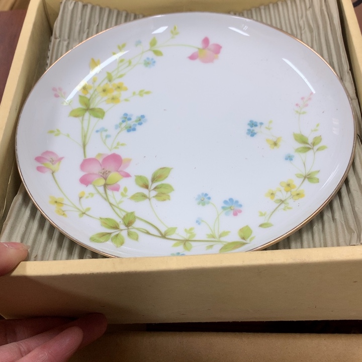 碟日本回流不退不换