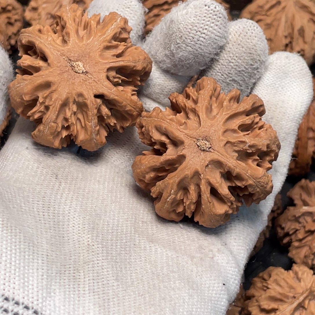 风***梦桃核把件62 秦岭灯笼野生小众