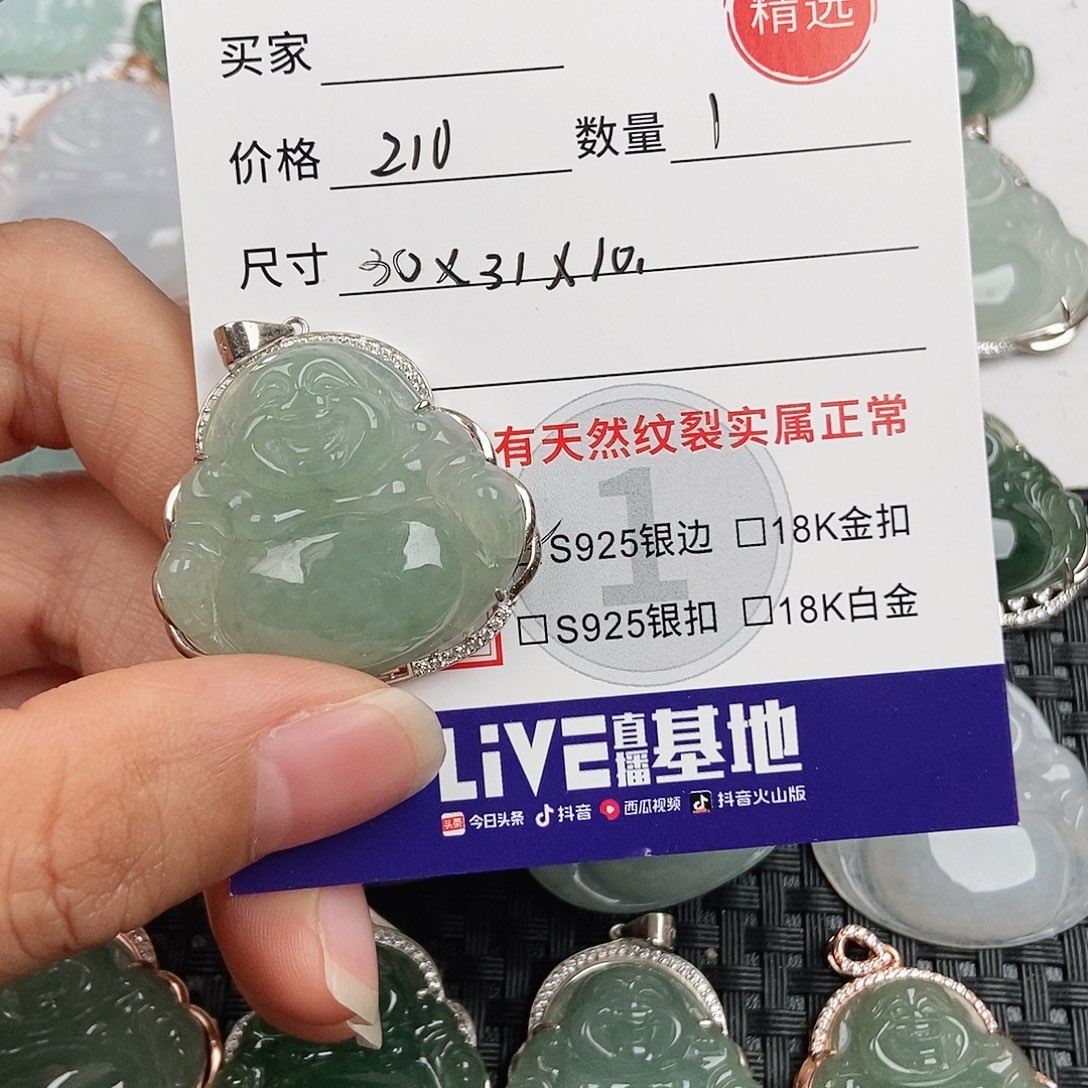 翡翠银S925镶嵌颈饰