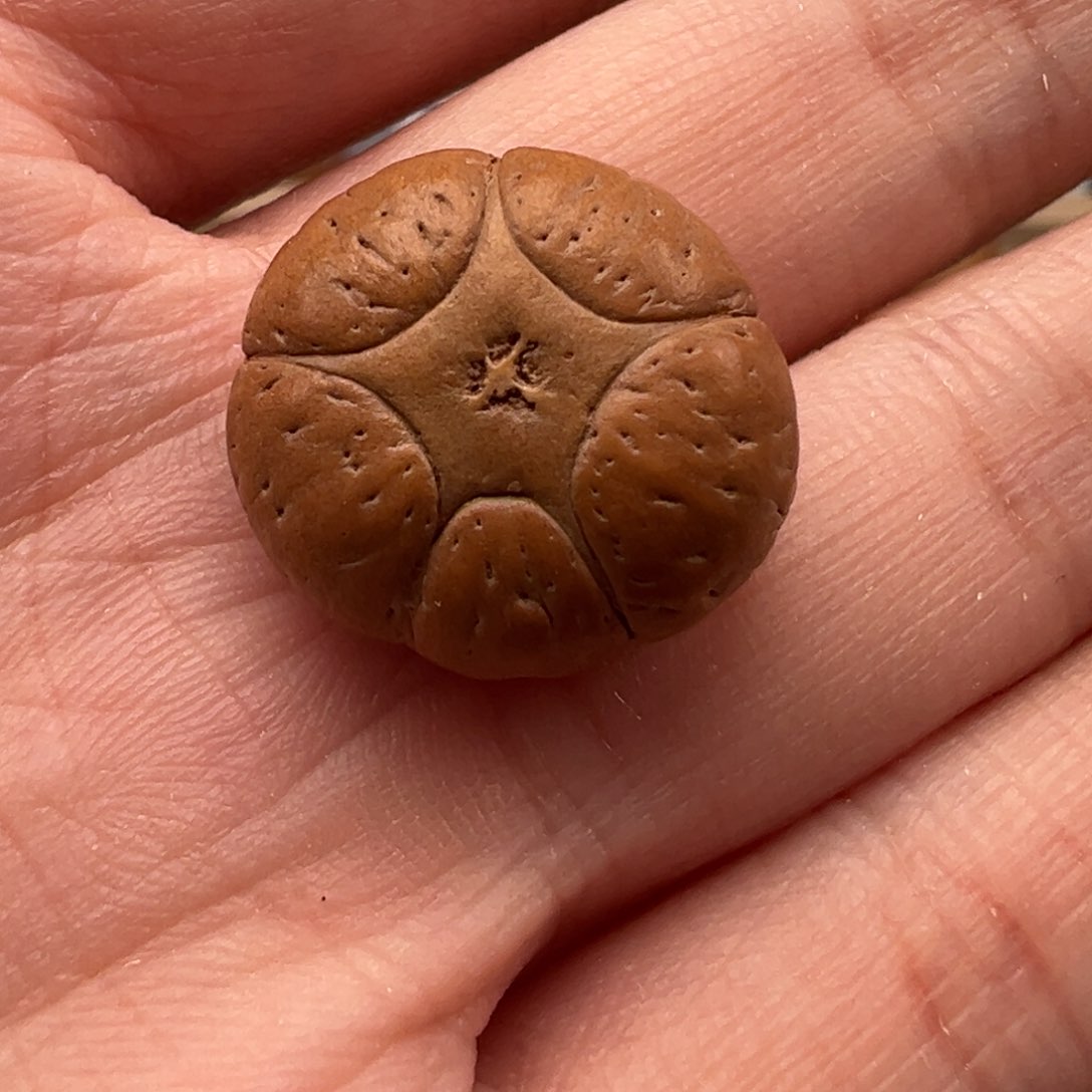 凤眼菩提吊坠五星尺寸18.3