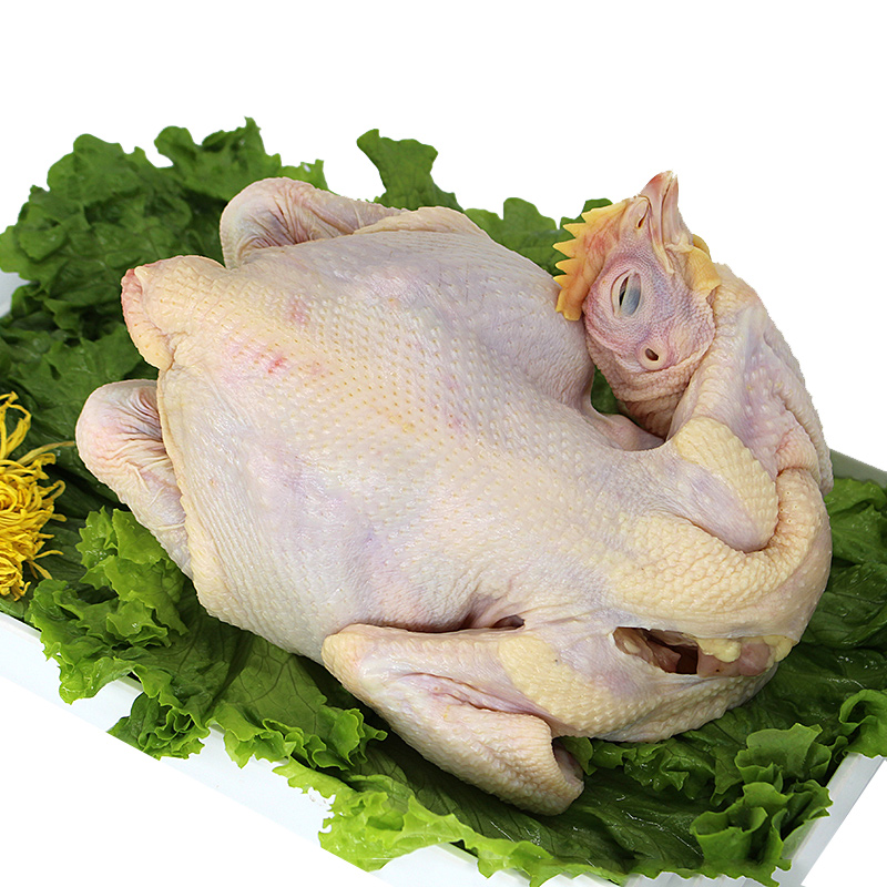 农村散养土鸡老母鸡月子鸡本地鸡新鲜现杀顺丰包邮现挑现发货