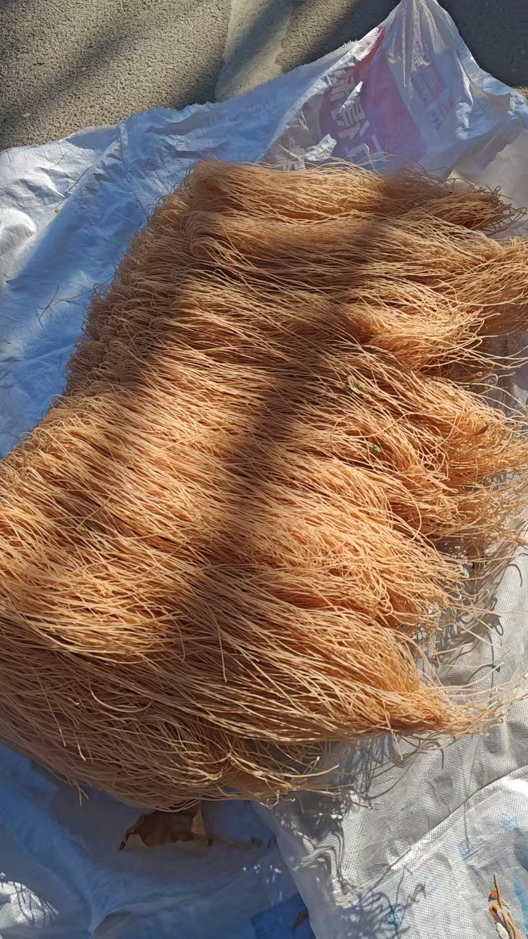 猫狗通用厂家推荐 通用食品及用品