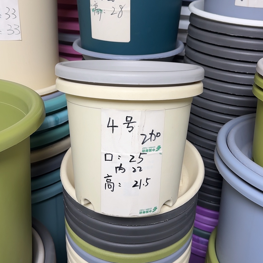 树脂四季4号无托10个米黄