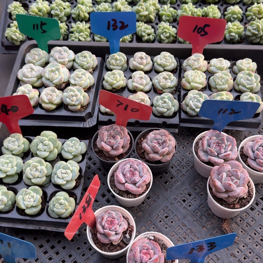 123运费哈哈哈哈哈哈哈