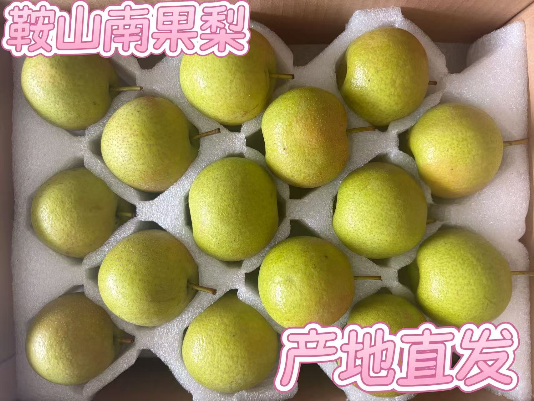 中秋送礼鞍山特产南果梨原产地直发