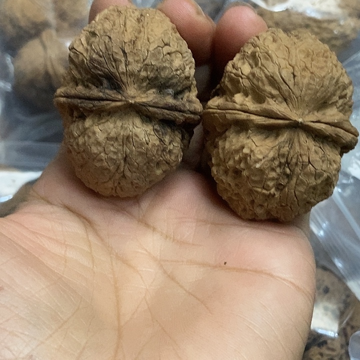 文玩核桃把件云南铁核桃基地8