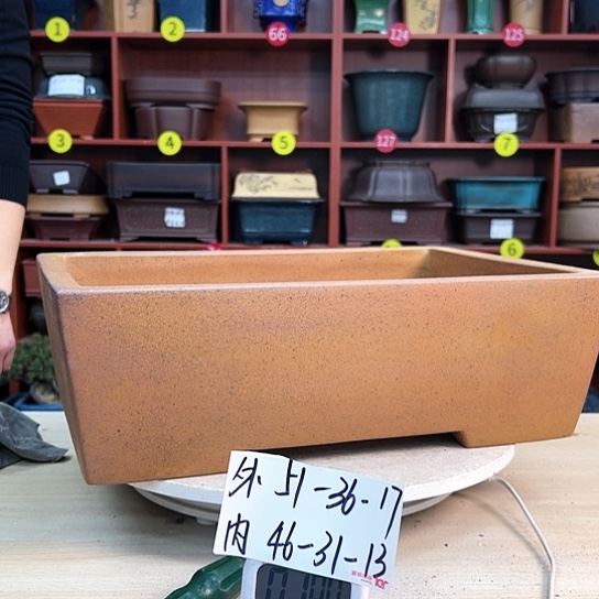 红陶多**少紫砂花盆里放的东西