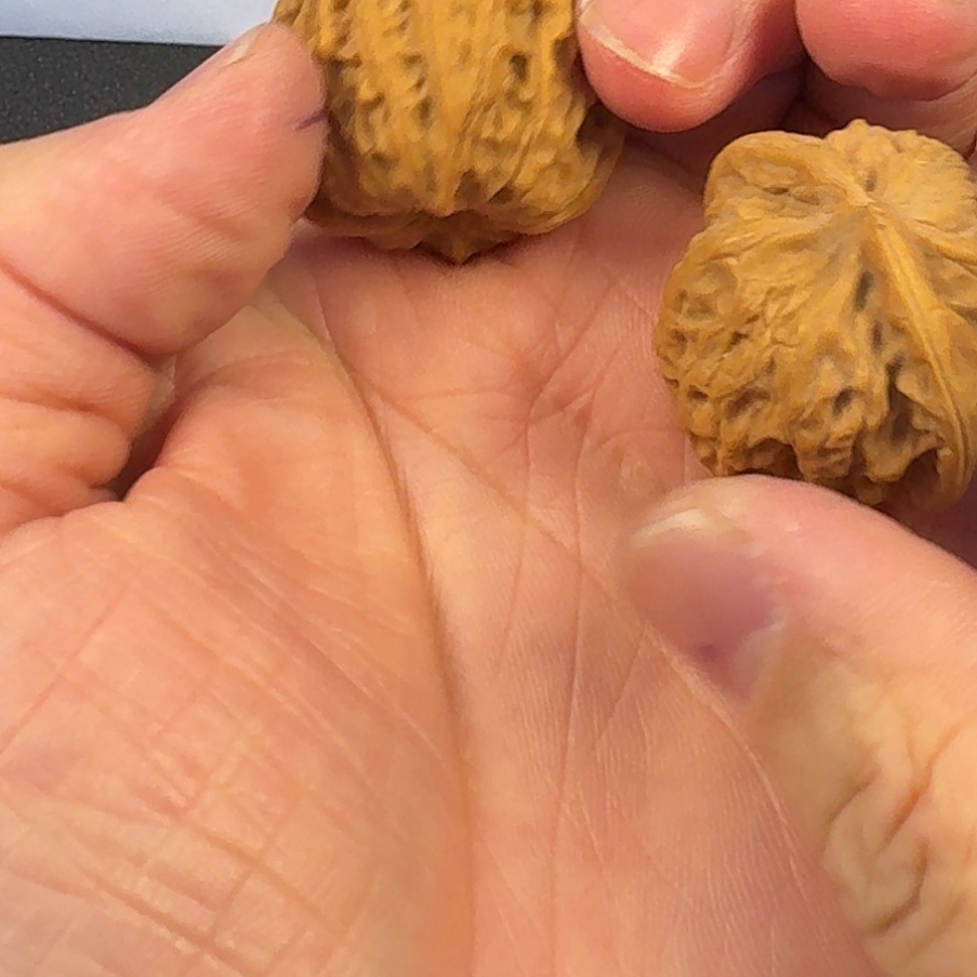 T***H吊坠文玩核桃盘平闷